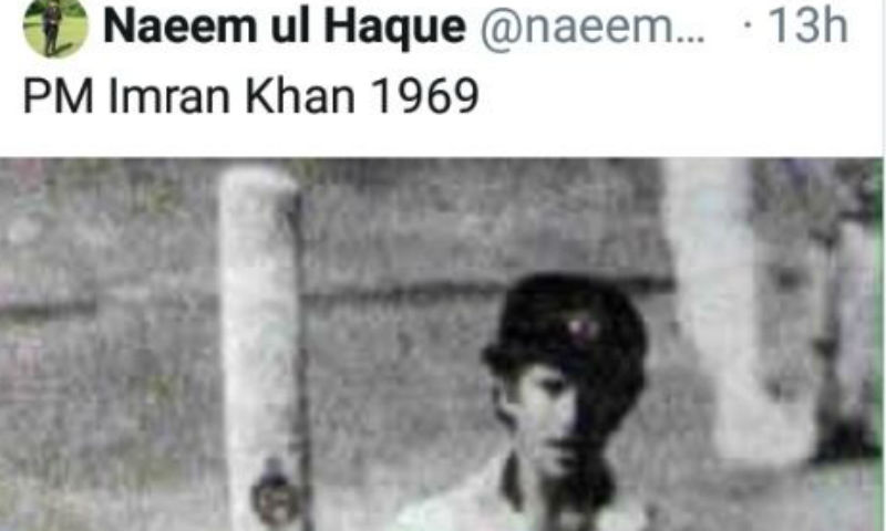 ٹنڈولکر یا عمران خان‘ نعیم الحق کا ٹوئٹر پر مذاق بن گیا’