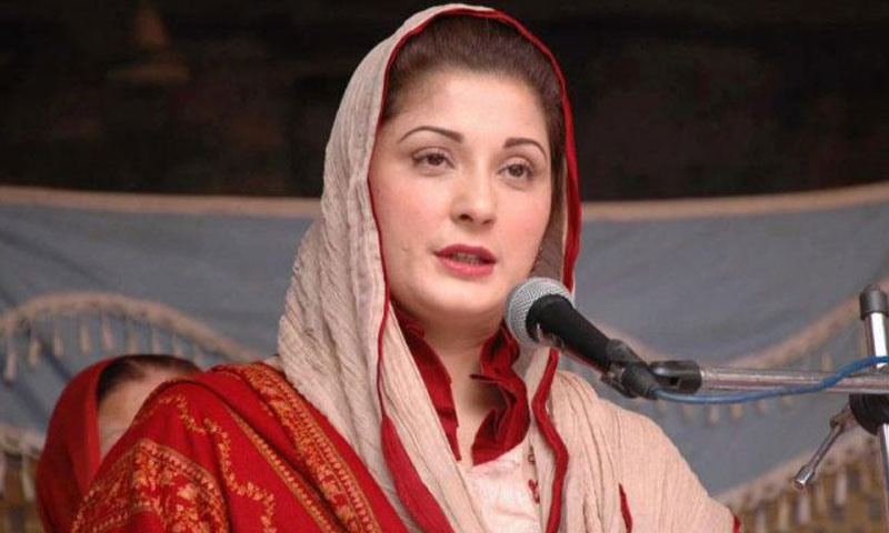 شہباز شریف نے مشکلات کے باوجود پیغام دیا کہ قائد نواز شریف ہیں، مریم نواز