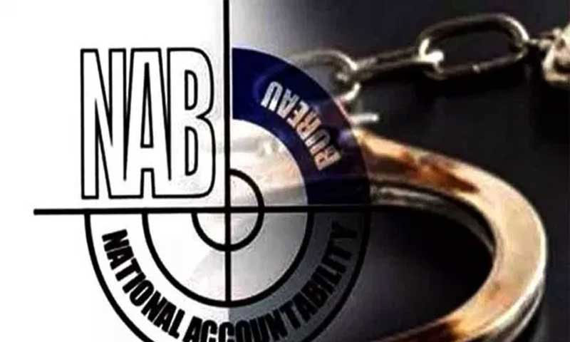 ہاؤسنگ سوسائٹی فراڈ کیس، پلی بارگین کی درخواست منظور