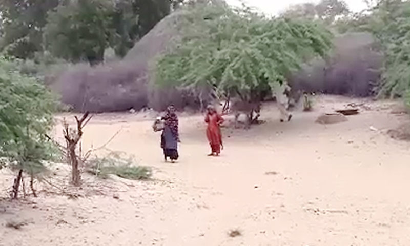 تھرپارکر:48 گھنٹوں میں چار بچوں نے دم توڑ دیا، تعداد 413 ہوگئی