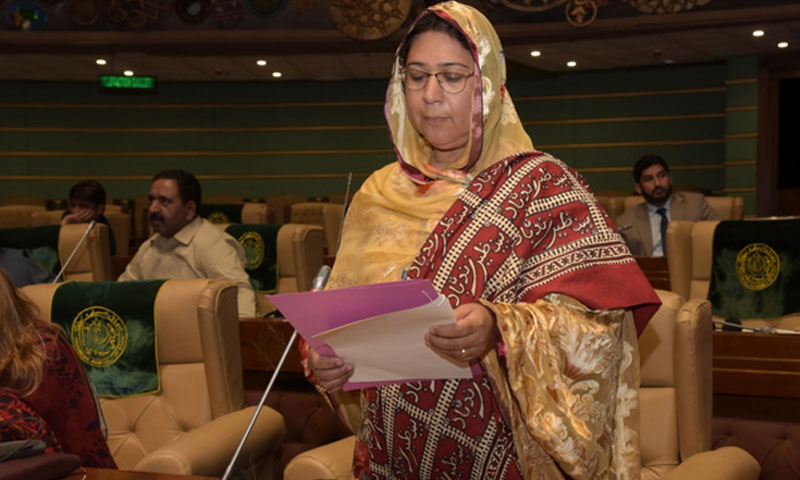 ریحانہ لغاری قائم مقام گورنر سندھ ہوں گی