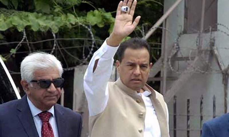 آصف زرداری دامادوں کی یونین کے تاحیات چیئرمین ہیں، کیپٹن (ر) صفدر