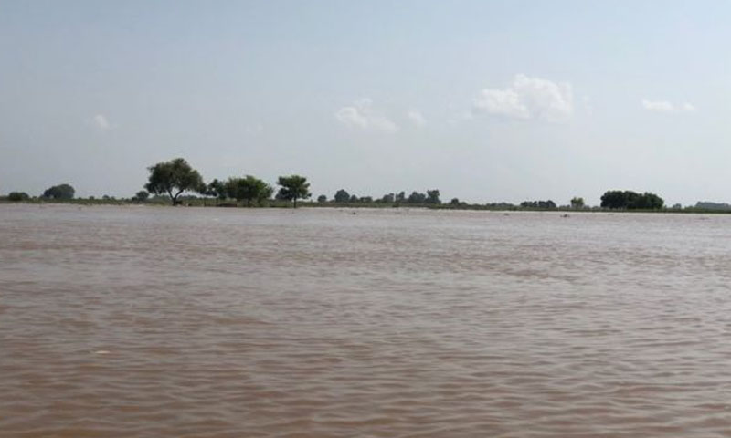 ستلج، پانی کا بہاؤ تیز، حفاظتی بند ٹوٹ گئے، آبادی اور زرعی اراضی زیر آب