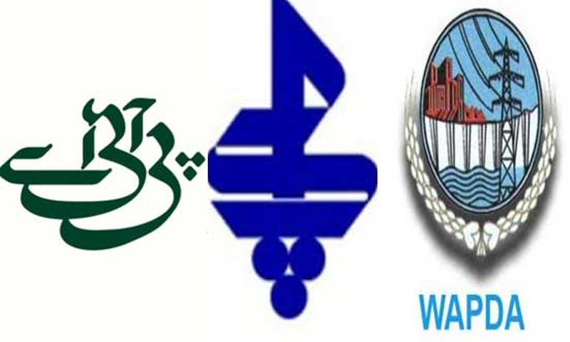 سرکاری ملکیت میں اداروں کے نقصانات 191ارب روپے سے بڑھ گئے