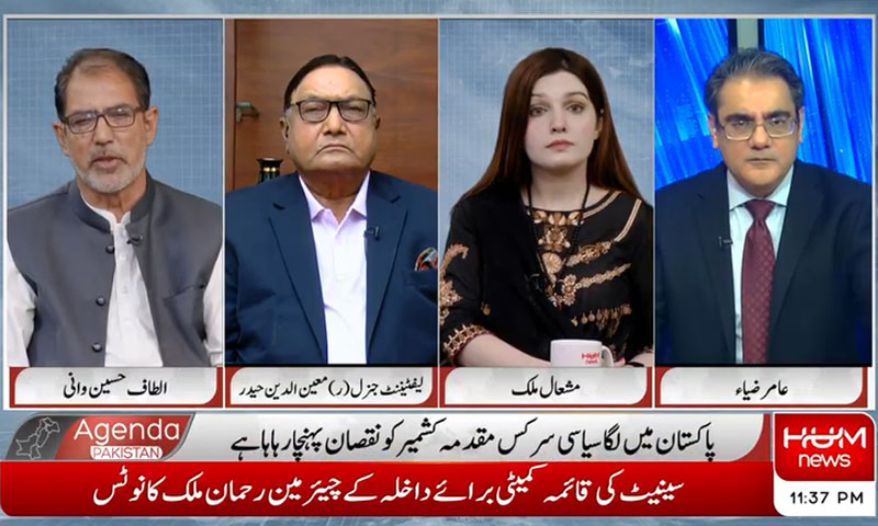 مسئلہ کشمیر کا حل جمعہ کے جمعہ احتجاج نہیں ہے، مشعال ملک