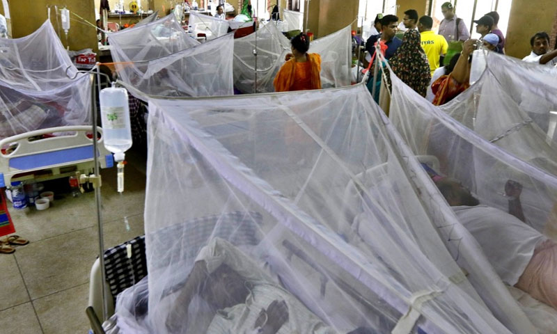 ملک میں ڈینگی سے ہلاکتوں کی تعداد بڑھ گئی