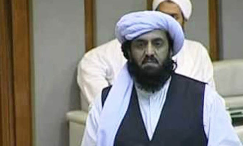 حافظ حمد اللہ