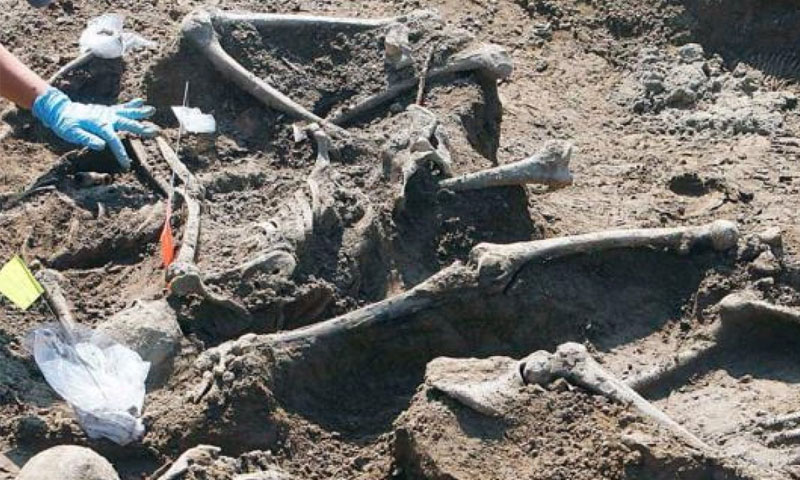 مقبوضہ کشمیر میں2700 اجتماعی قبریں دریافت