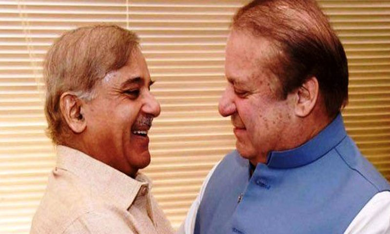 'ڈیئر شہباز بھائی'