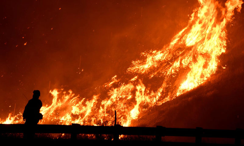 11,000 سائنسدانوں کی رپورٹ نے نسل انسانی کے لیے خطرے کی گھنٹی بجا دی