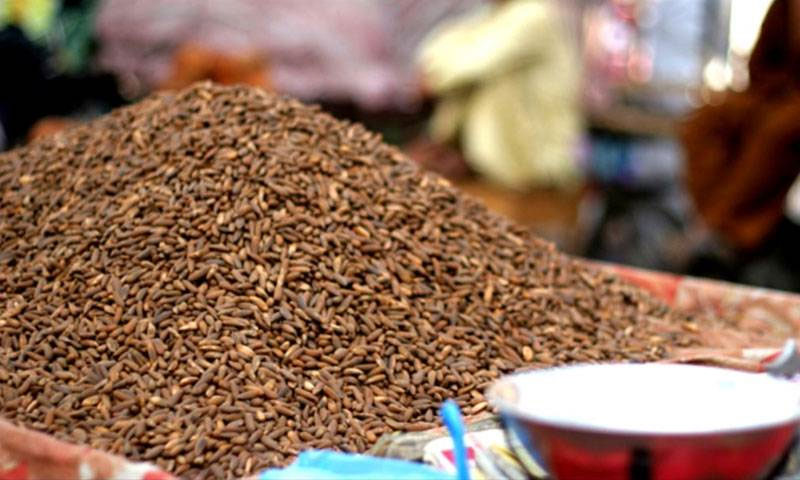 چلغوزے چوری کے الزام میں 6 افراد گرفتار