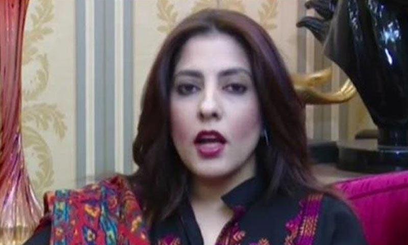 عمران خان اپوزیشن سے دن رات این آر او مانگ رہے ہیں۔ پلوشہ خان کا دعویٰ