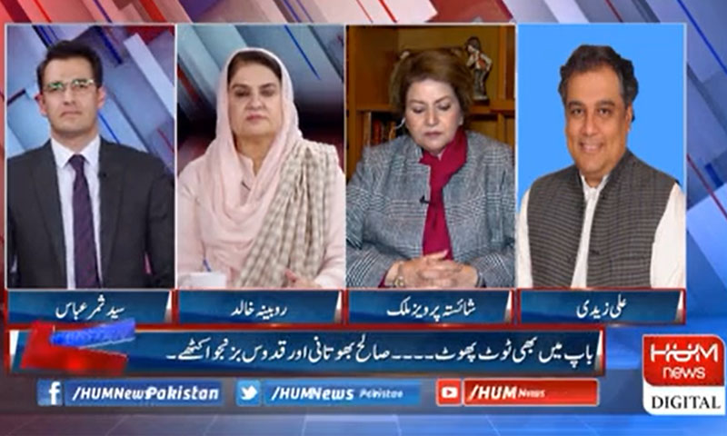 گرفتار افراد کی رہائی پر وزیر اعظم اور کابینہ کو تشویش ہے، علی زیدی