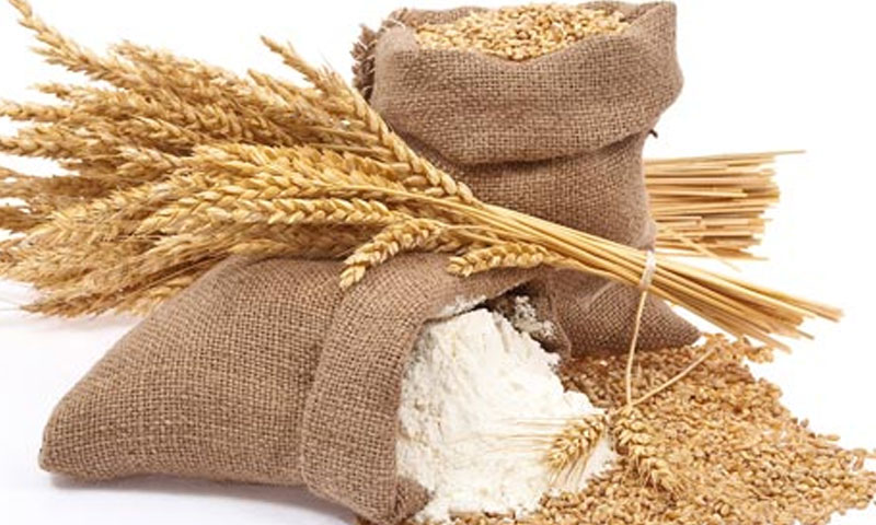 گندم قیمت