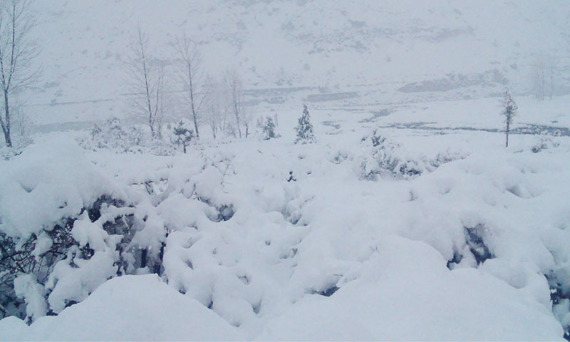 استور: پاک فوج زلزلہ متاثرین کی بحالی میں سرگرم عمل