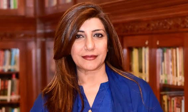 پاکستان نے بھارت کا جھوٹا پروپگنڈہ یکسر مسترد کردیا