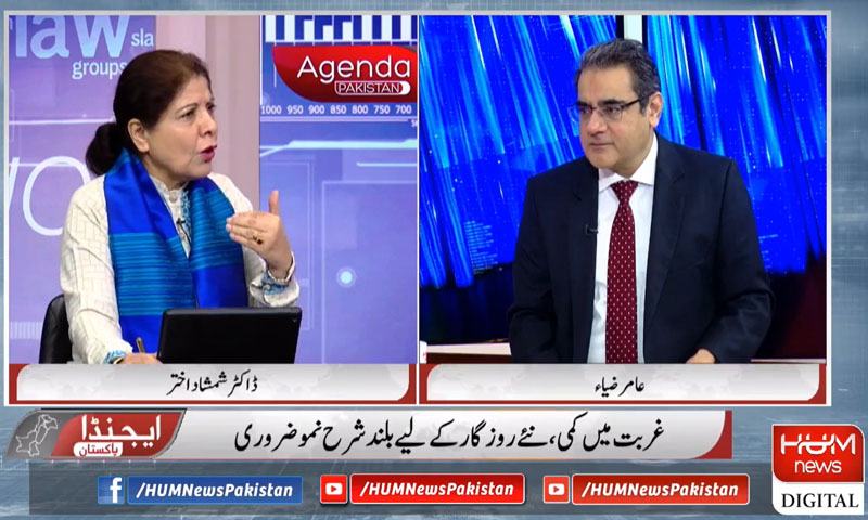 آئی ایم ایف پروگرام میں جانے سے بہتر حکومت مشکل فیصلے خود کرے، ڈاکٹر شمشاد اختر