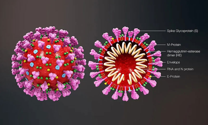 پشاور: طبی عملہ کورونا کا نشانہ بننے لگا