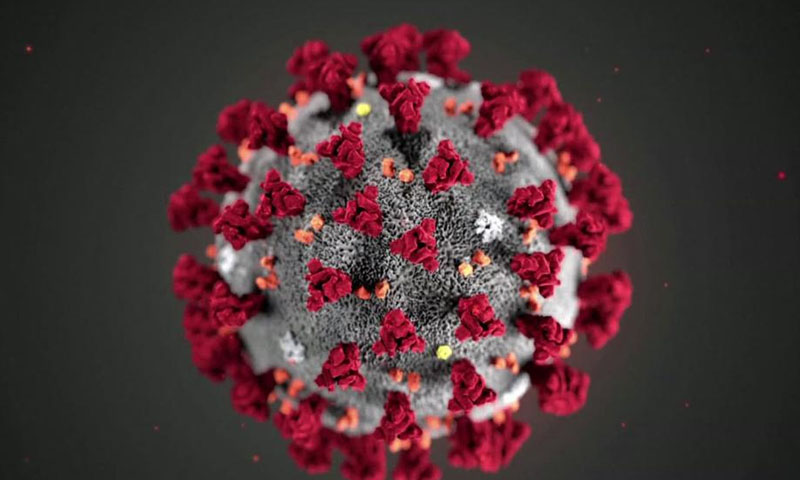 کراچی: ایس اوپیز کی خلاف ورزی، برنس روڈ کے بیشتر ریسٹورنٹس سیل کورونا: 92 سالہ بزرگ انتقال کے 18 روز بعد زندہ برآمد