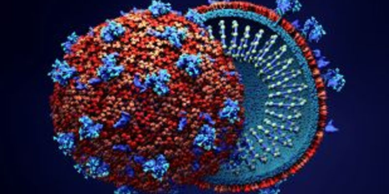 پشاور: طبی عملہ کورونا کا نشانہ بننے لگا راولپنڈی: 24 گھنٹوں کے دوران کورونا کے 92 کیسز رپورٹ