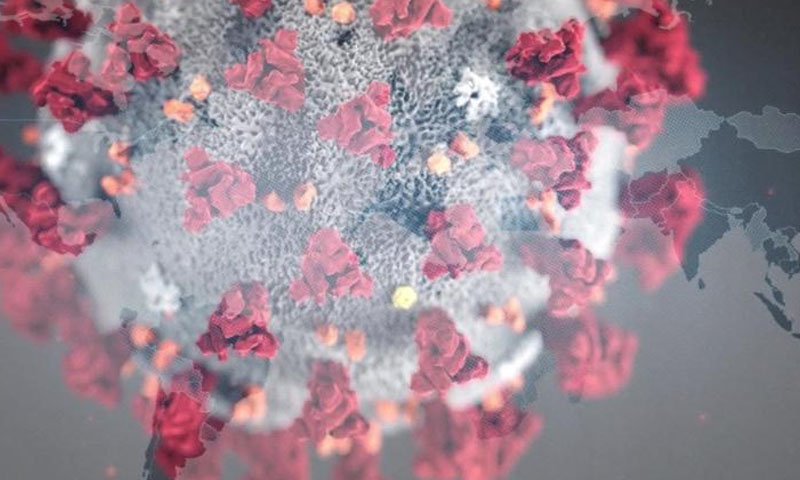 جاپان: پاکستان کو کورونا سے نمٹنے میں مالی تعاون کی یقین دہانی