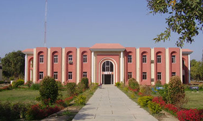 گومل یونیورسٹی: جنسی ہراسمنٹ میں ملوث 4 ملازم برطرف