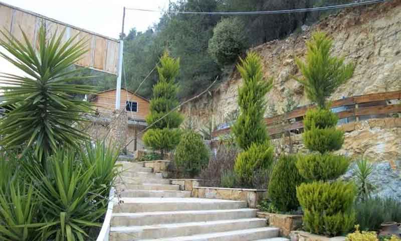 لبنان میں فائرنگ سے ۹ افراد جاں بحق