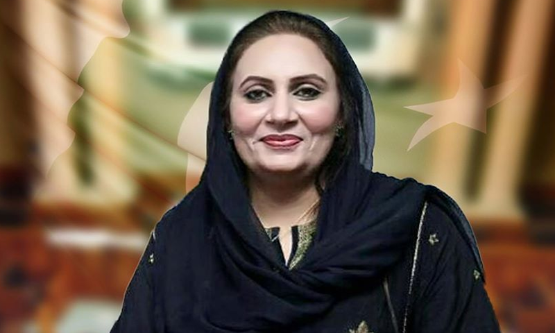 اپوزیشن آرام کرے، حکومت پنجاب کا مشورہ