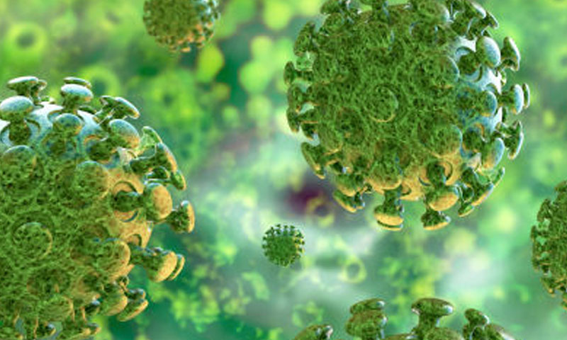 کے پی: کورونا، 24 گھنٹوں میں وبا کے باعث کوئی جاں بحق نہیں ہوا کورونا ریپڈ رسپانس ٹیم نے بائیکاٹ کا اعلان کردیا