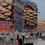 خوراک کا بحران، عرب امارات نے پاکستان سے بڑے پیمانے پر گندم مانگ لی