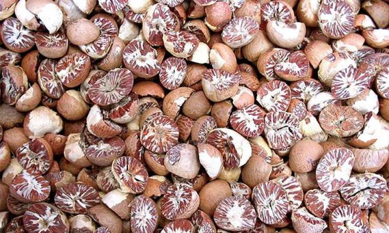 کروڑوں روپے مالیت کی اسمگل شدہ چھالیہ برآمد