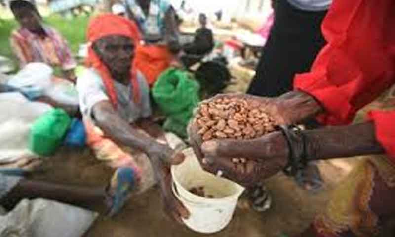 مغربی افریقہ میں 18 ملین افراد شدید بھوک کا شکار، اقوام متحدہ