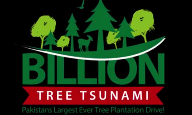 بلین ٹری سونامی منصوبہ: عالمی ڈونرز کا گرانٹ دینے کا عندیہ