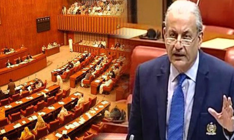 وفاقی سندھ کے جزیروں پر قبضہ کرنا چاہتی ہے، رضا ربانی