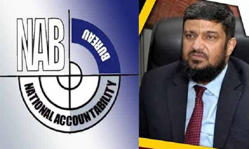 شہباز شریف بہت خوش ہیں، ڈی جی نیب