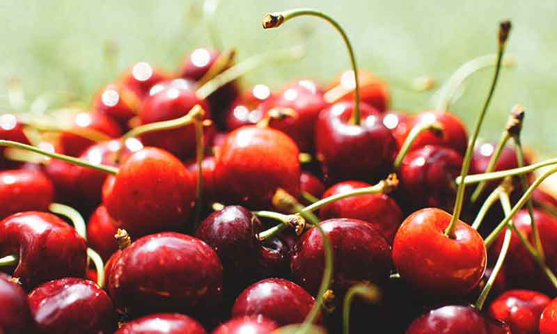 خیبر پختونخوا فوڈ سیفٹی اتھارٹی کا چھاپہ، مضر صحت چیریز برآمد