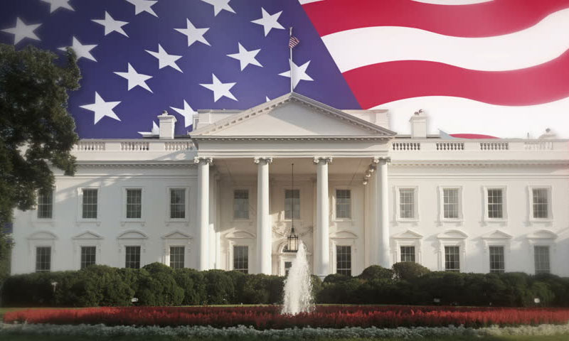 امریکہ کا نظام حکومت کیسے چلتا ہے؟ امریکی نظام حکومت کیسے چلتا ہے