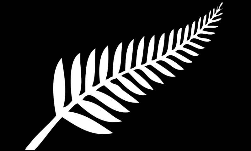 نیوزی لینڈ اے کا پاکستان شاہینز کو 182 رنز کا ہدف