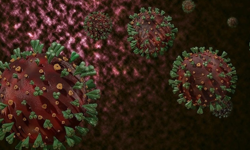 سری لنکن کرکٹ اسٹاف میں کورونا پھیل گیا