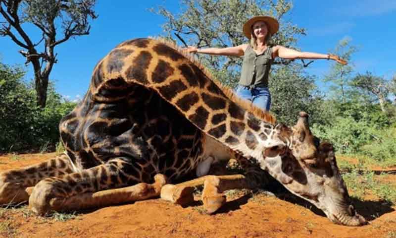 ویلنٹائن پر محبت کا اظہار کرنے والی ظالم خاتون؟