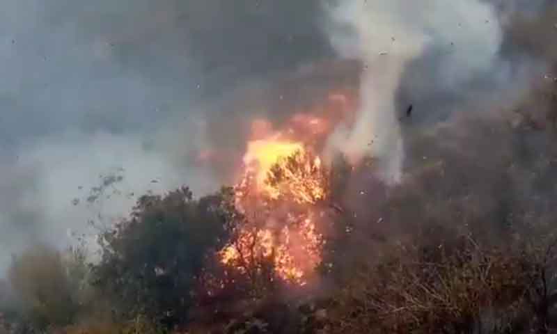 مارگلہ ہلز پر آگ لگ گئی