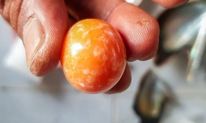 ایک موتی نے مچھیرے کی زندگی بدل دی