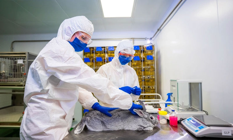 جانوروں کی پہلی کورونا ویکسین تیار