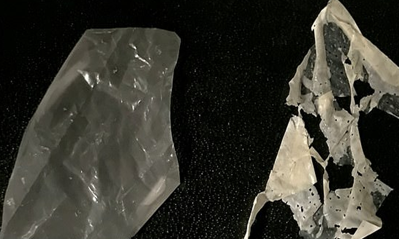 گرمی اور پانی کی موجودگی سے ختم ہو جانیوالا پلاسٹک تیار