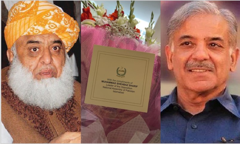 شہباز شریف کا مولانا فضل الرحمان کیلئے گلدستہ
