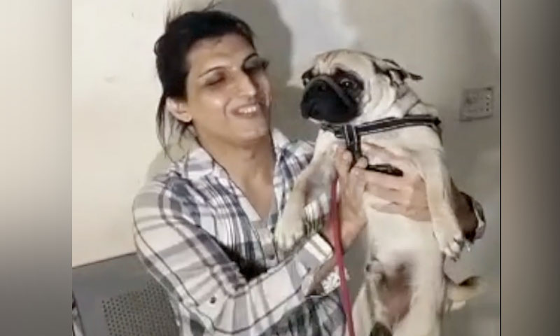 آن لائن فروخت کی کوشش ناکام، خواجہ سرا کا چوری کیا گیا کتا برآمد