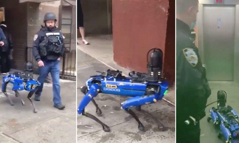 ‘روبوٹ کتے’ کی مدد سے پولیس کا فلیٹ پر چھاپہ، شہری ششدر رہ گئے 'روبوٹ کتے' کی مدد سے فلیٹ پر چھاپہ، شہری ششدر رہ گئے