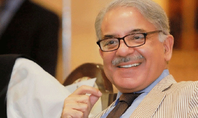 شہباز شریف: پیپلزپارٹی اور اے این پی کو پی ڈی ایم میں شمولیت کی دعوت دیدی