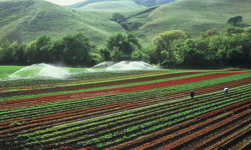 موسمیاتی تبدیلی سے ایک تہائی عالمی خوراک کو خطرہ لاحق