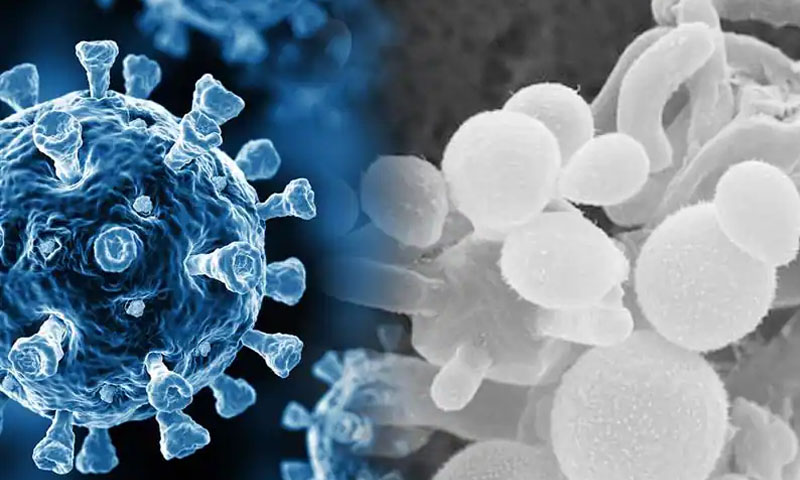  بھارت: کورونا مریضوں کو بلیک اور وائٹ فنگس کے خطرے کا سامنا